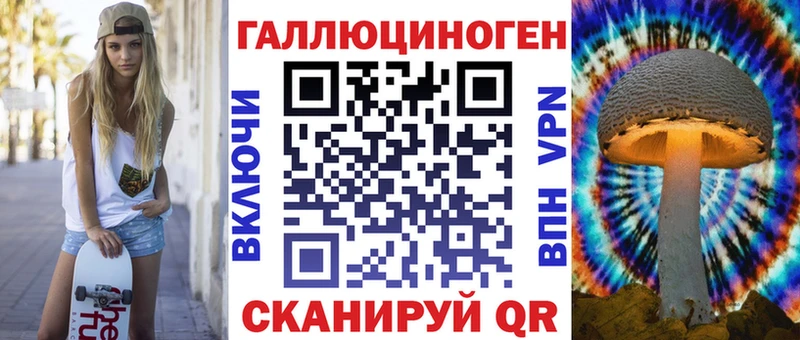 Купить где  Гаврилов-Ям  Галлюциногенные грибы GOLDEN TEACHER 